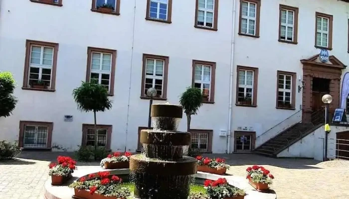 Leininger Schloss - 67583 Guntersblum