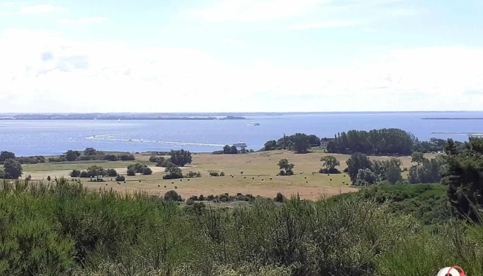Leuchtturm Dornbusch -  Dornbusch - Insel Hiddensee