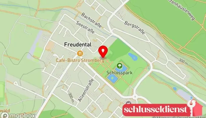 Karte von Libermenta Klinik Schloss Freudental Psychiatrische Klinik, Schloss, Privates Krankenhaus, Psychiater, Psychosomatischer Mediziner, Psychotherapeut/in in Freudental