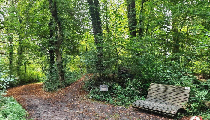 Mittelalterliche Turmhügelburg - Deutschland