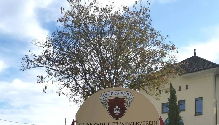 Oberrotweiler Winzerverein Eg Katalog - Vogtsburg Im Kaiserstuhl