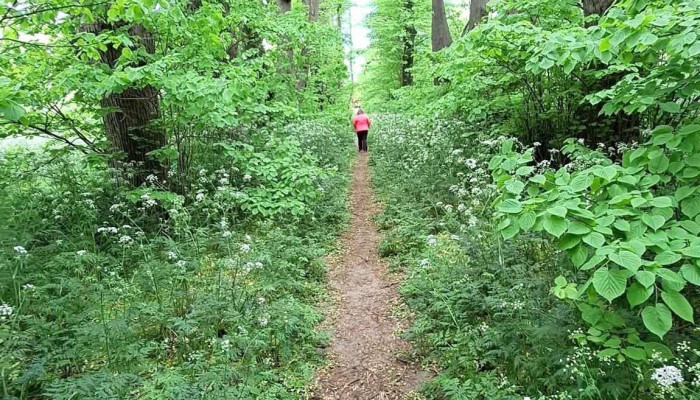 Park Dranske -  Lancken Neueste - Dranske