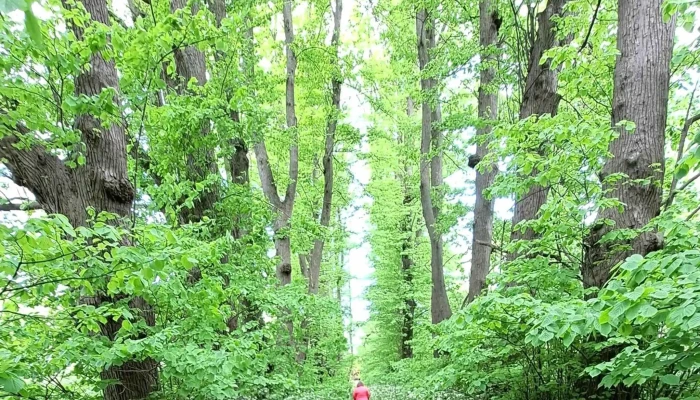 Park Dranske -  Lancken Park - Dranske