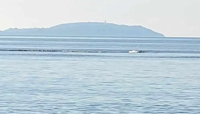 Park Dranske -  Lancken Strand - Dranske