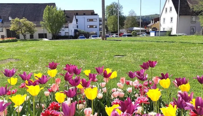 Rathaus Immendingen -  Neueste - Immendingen