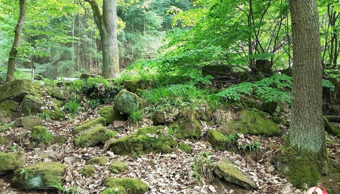 Räuberschlößchen - Freudenberg