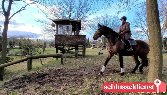 Reit -   U Fahrverein Beedenbostel Videos - Beedenbostel