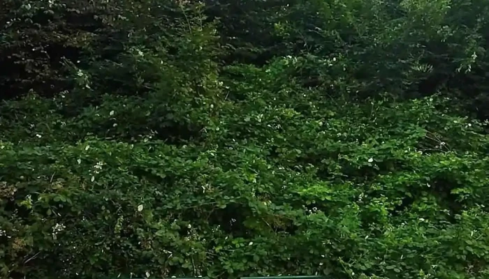 Reppiner Burg -  Videos - Schwerin