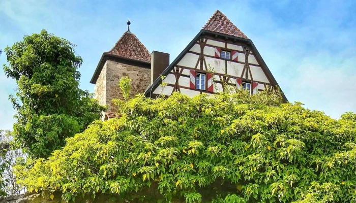 Schloss Buchenbach -  Aktion - Mulfingen