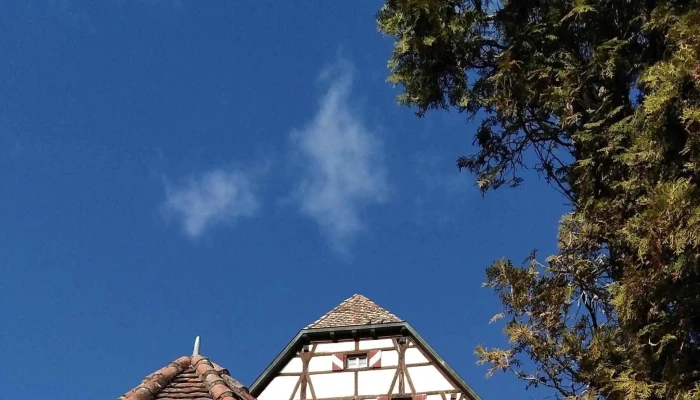 Schloss Buchenbach -  Schloss - Mulfingen