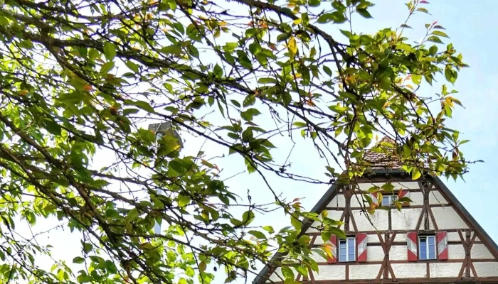 Schloss Buchenbach -  Telefon - Mulfingen