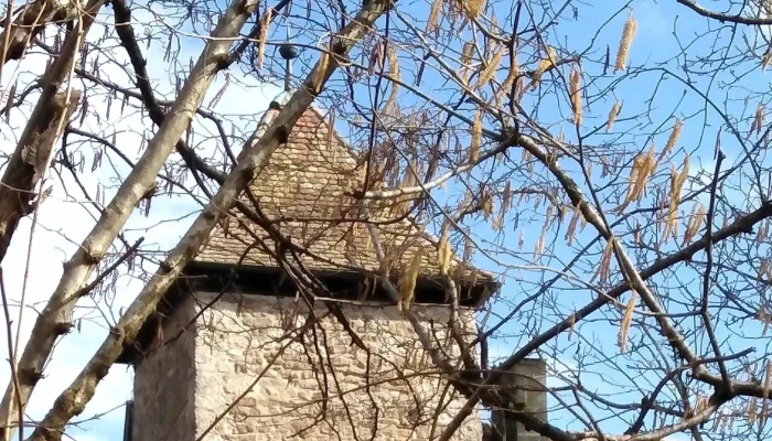 Schloss Buchenbach -  Wo - Mulfingen