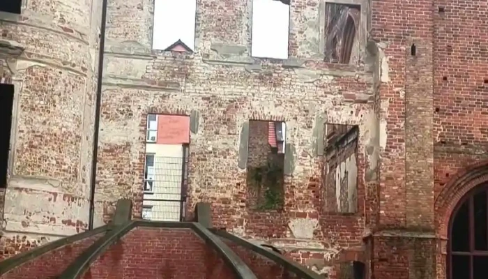 Schloss Dargun -  Neueste - Dargun