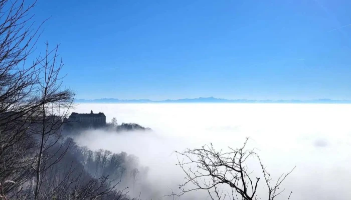 Schloss Heiligenberg -  Alle - Heiligenberg
