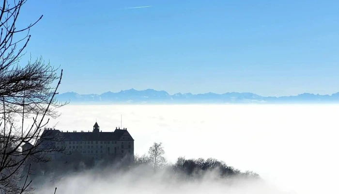 Schloss Heiligenberg -  Historische Sehenswurdigkeit - Heiligenberg