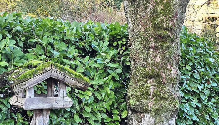 Schloss Juhnde Juhnde - Jühnde