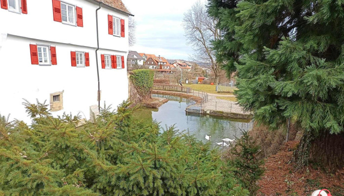 Schloss Kalteneck -  Fenster - Holzgerlingen