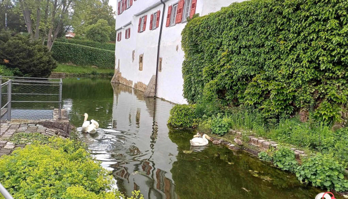 Schloss Kalteneck -  Garten - Holzgerlingen