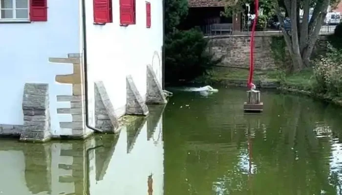 Schloss Kalteneck -  Videos - Holzgerlingen