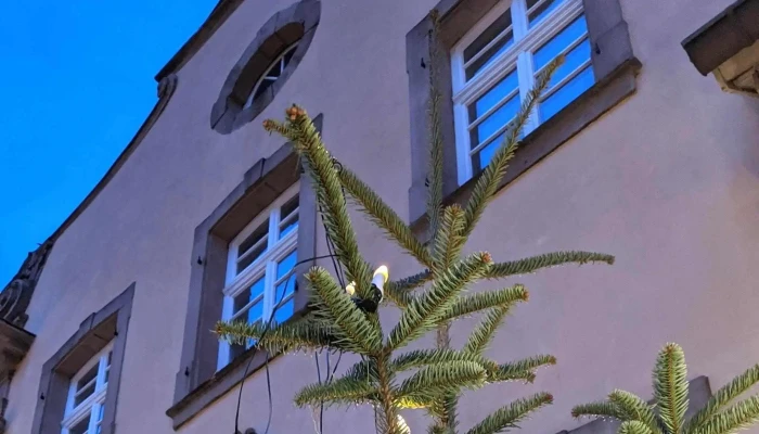 Schloss Massenbach -  Instagram - Schwaigern