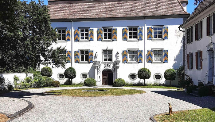 Schloss Muhlheim Hinteres Schloss Historische Sehenswurdigkeit - Mühlheim An Der Donau