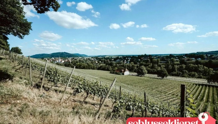 Schloss Rheinburg Keller Moser Gmbh Vom Inhaber - Gailingen Am Hochrhein