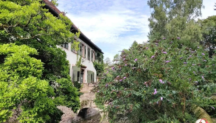 Schloss Schwarzach Mit Forstamt -  Alle - Schwarzach