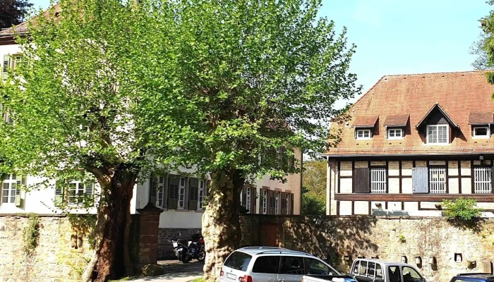 Schloss Schwarzach Mit Forstamt -  Bewertung - Schwarzach