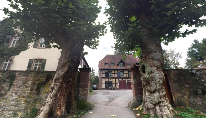 Schloss Schwarzach Mit Forstamt -  Street View 360deg Fotos - Schwarzach