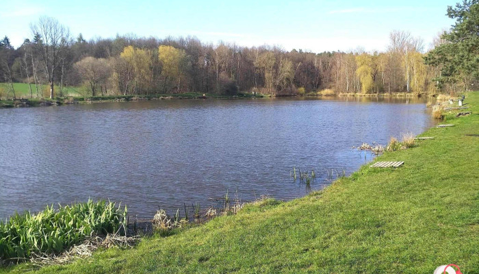 Schlosser Teich mit alter Eiche - 35260 Stadtallendorf