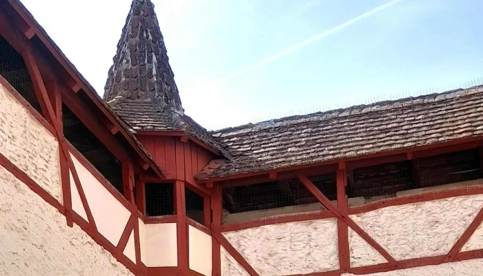 Schlosskelter -  Adresse - Freiberg Am Neckar