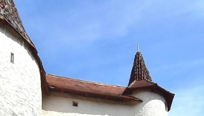 Schlosskelter -  Schloss - Freiberg Am Neckar