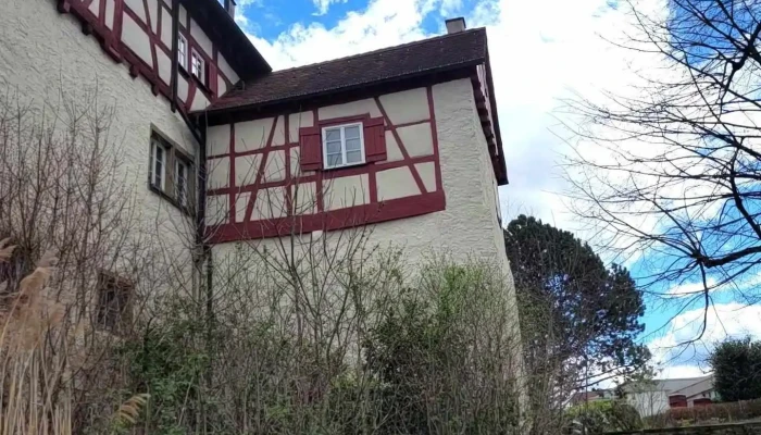 Schlosskelter -  Videos - Freiberg Am Neckar
