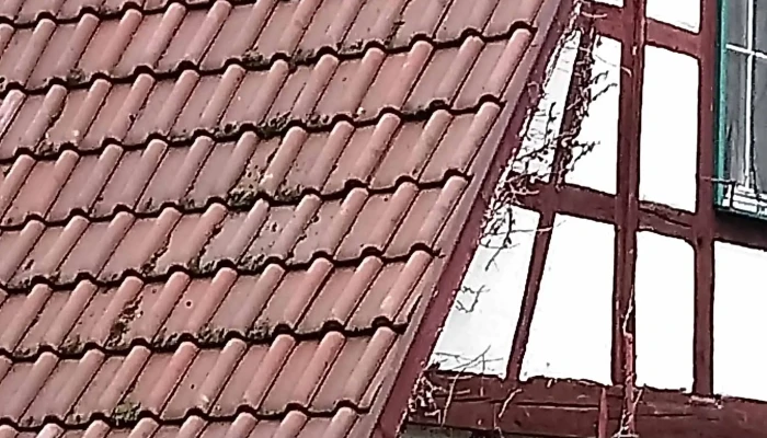 Schlosskelter -  Zone - Freiberg Am Neckar