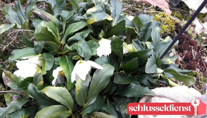 Schlüsseldienst Behr Nachf. - 06179 Teutschenthal