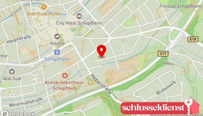 Karte von Schneegass Schlosserei GmbH Metallwerkstatt in Schopfheim
