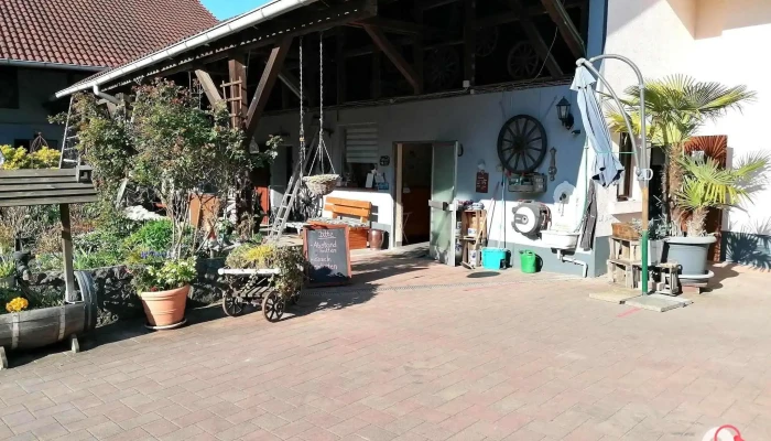 Spargelhof Schlösser-Treiber GbR - 64683 Einhausen