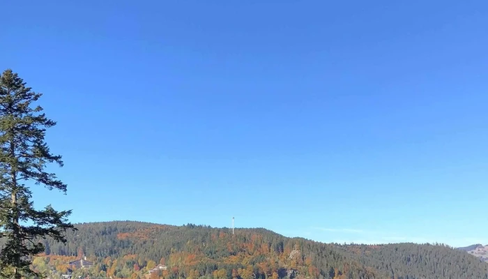 Stadt St Blasien Jetzt Geoffnet - St. Blasien