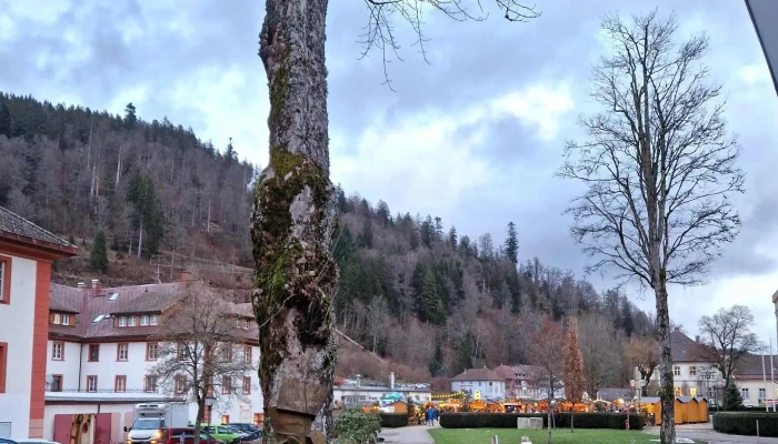 Stadt St. Blasien - St. Blasien