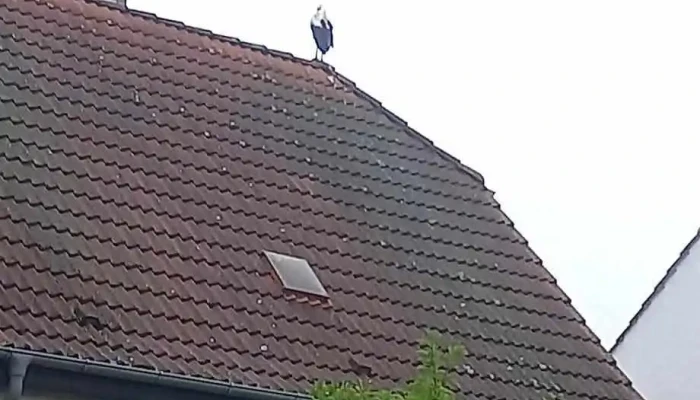 Stahl- und Behälterbau Krüger GmbH - 14727 Premnitz