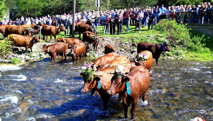 Tourist-Information Wildemann - Wildemann