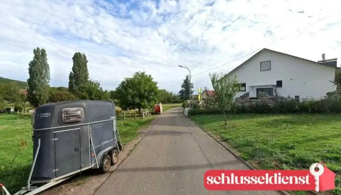 Umzüge D. Schlosser GmbH - 76889 Pleisweiler-Oberhofen