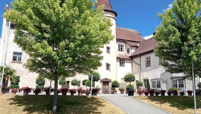 Unteres Schloss -  Nummer - Immendingen