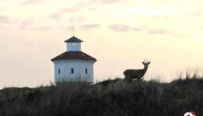 Wasserturm -  Vom Inhaber - Langeoog