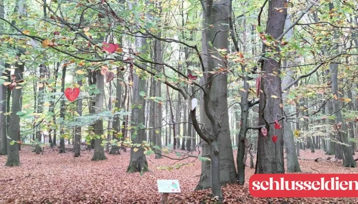  Weißenberger Liebesbaum " - Driftsethe