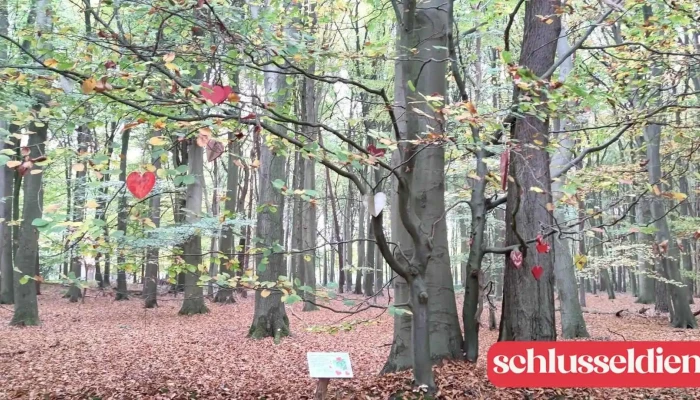 Weissenberger Liebesbaum Alle - Driftsethe