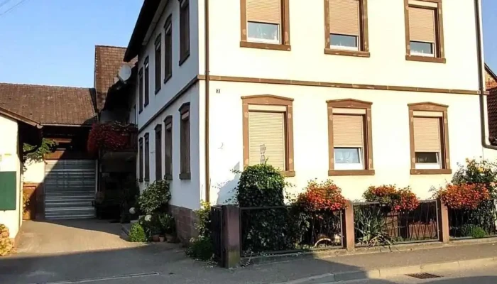 Zipf -  Alle - Schwanau